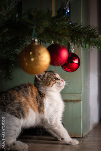 kitten playing with christmas tree ornaments