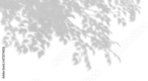 Tree branches shadow sunshade on transparent backgrounds 3d rendering png