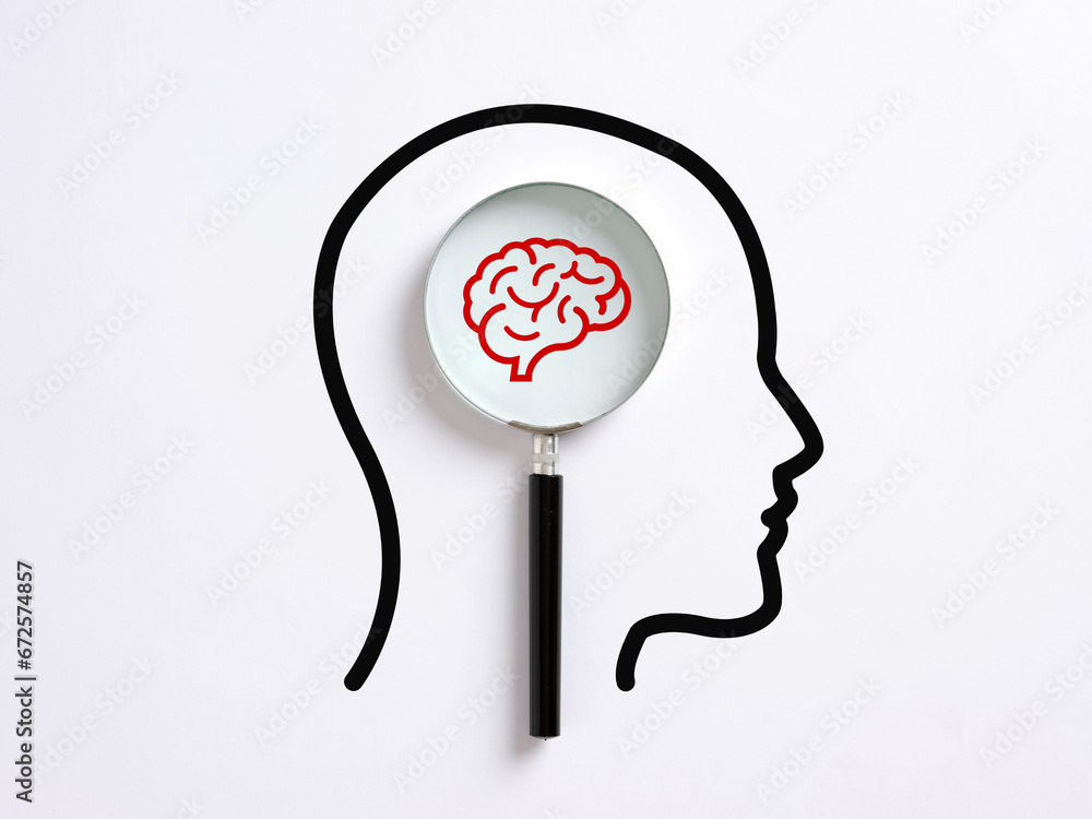 Analyzing the human brain. Brainstorming, intelligence and memory ...