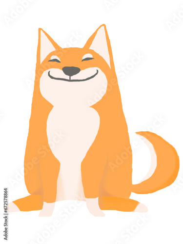 One Shiba dog is sitting on the ground