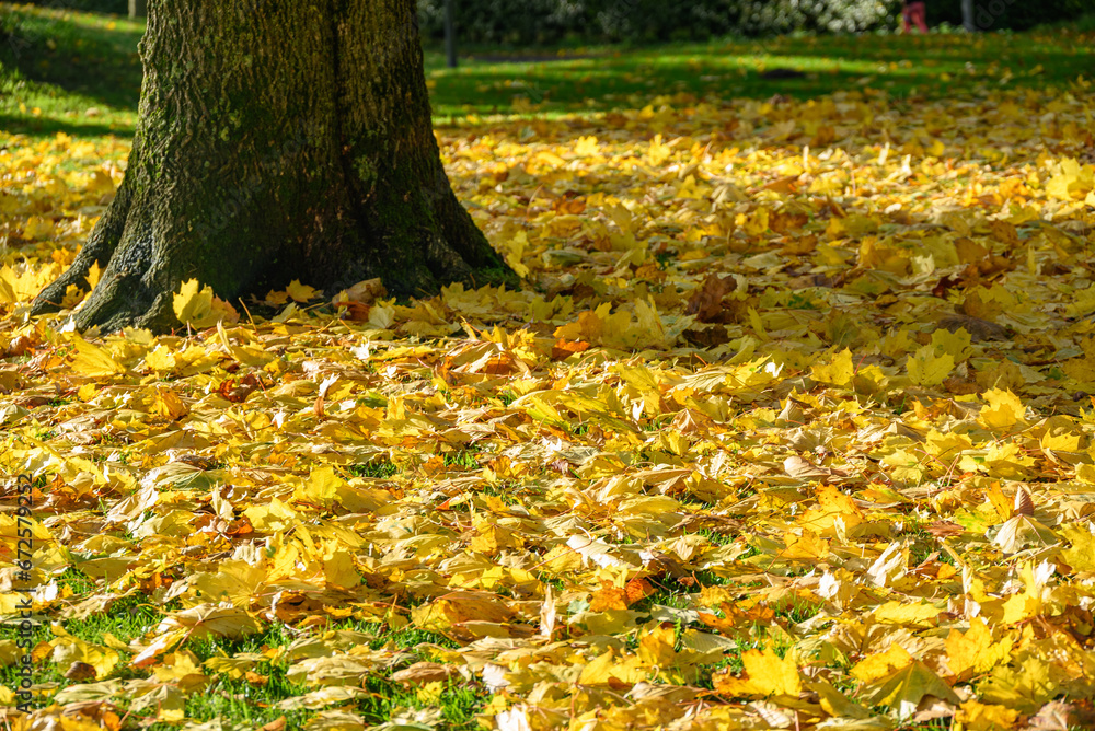 Herbstzeeit in Velen im Münsterland Herbstzeeit in Velen im Münsterland