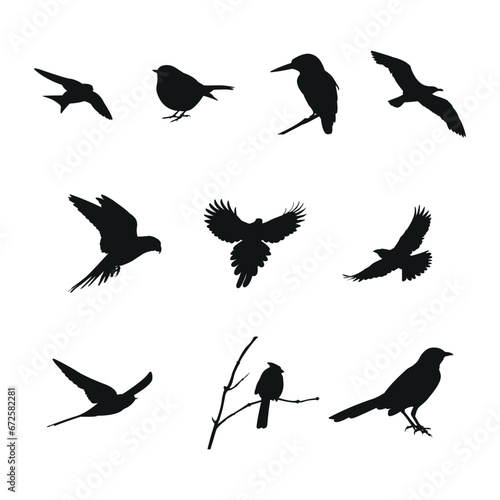 Fototapeta Naklejka Na Ścianę i Meble -  Set of Black Isolated Birds Silhouettes Vectors
