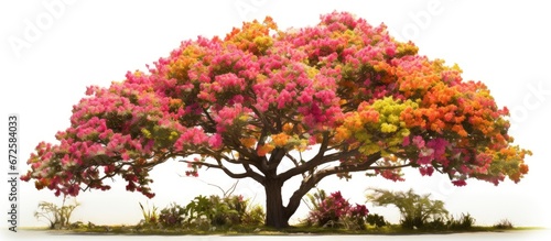 The tree offers a lovely viewpoint of the flower garden on the farm