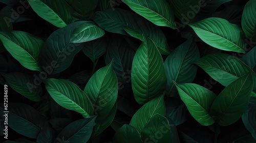  green leaves background