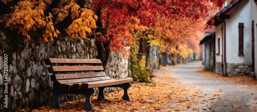 In Fussen Bavaria Germany there is an alley adorned with dried vibrant leaves where you can find an aged wooden bench amidst the autumn landscape photo