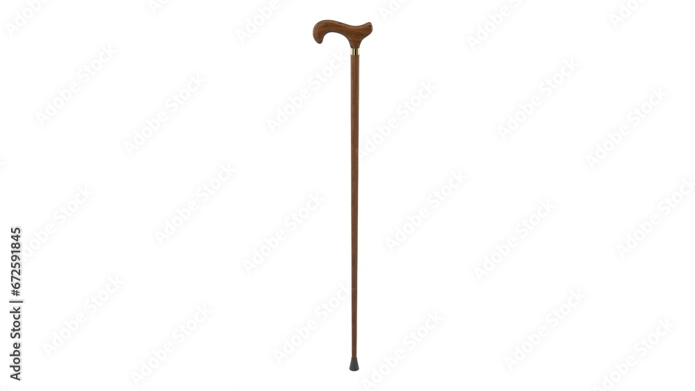 Fototapeta premium Walking cane