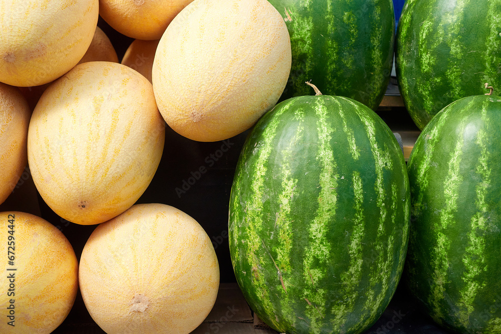 Melons and watermelons in large quantities close-up