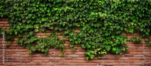 Wall brick with vines