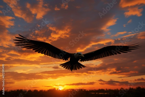 Eagle flying on the sunset time.  © Moon Story