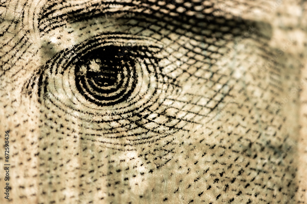 Obraz premium twenty paper dollar bill macro. Super Macro for a twenty dollar bill. Financial Wealth: Capital and Profit in Banking and Investment. Financial growth symbolized by currency and lettering.