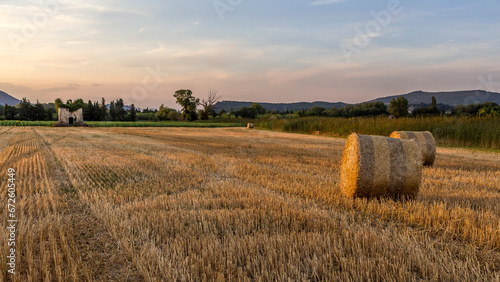 Harvest time in Provence, sunset over a wheat field