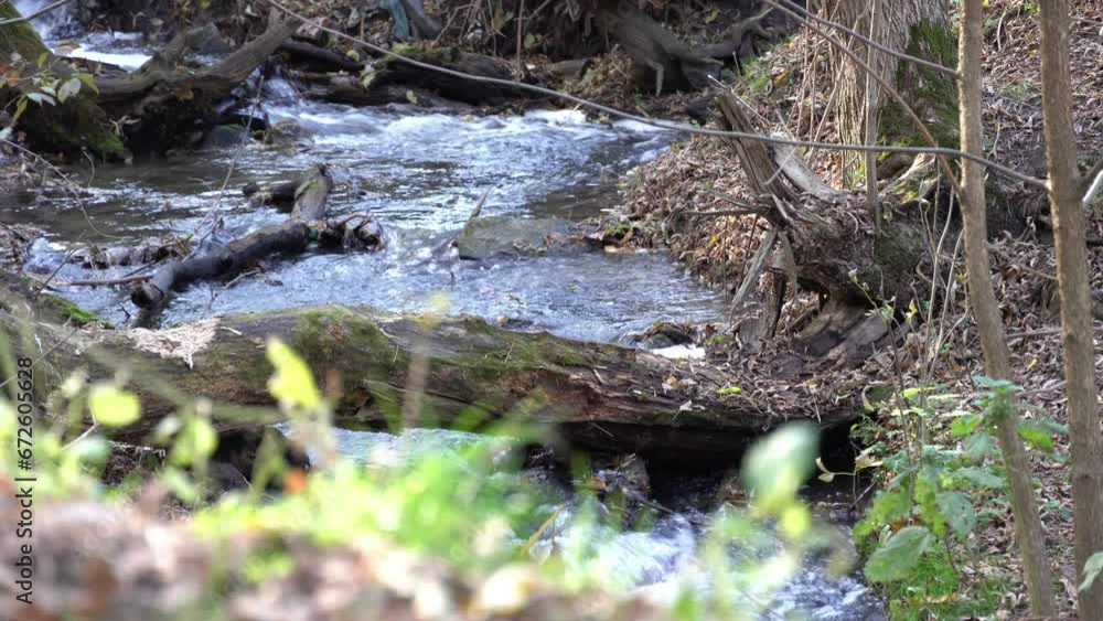 Small stormy river flowing in the forest. Clear stream running through green plants. Wild water splashing in summer day. Fast stream flowing with transparent water. Wet ground surface. Small stormy river flowing in the forest. Clear stream running through green plants. Wild water splashing in summer day. Fast stream flowing with transparent water. Wet ground surface.