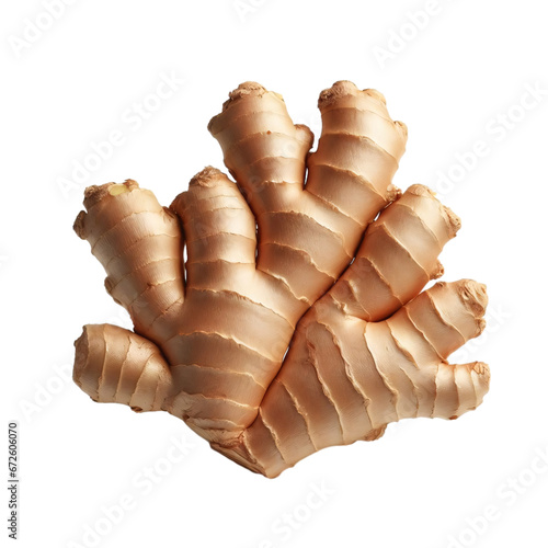Ginger root isolated on white background. 