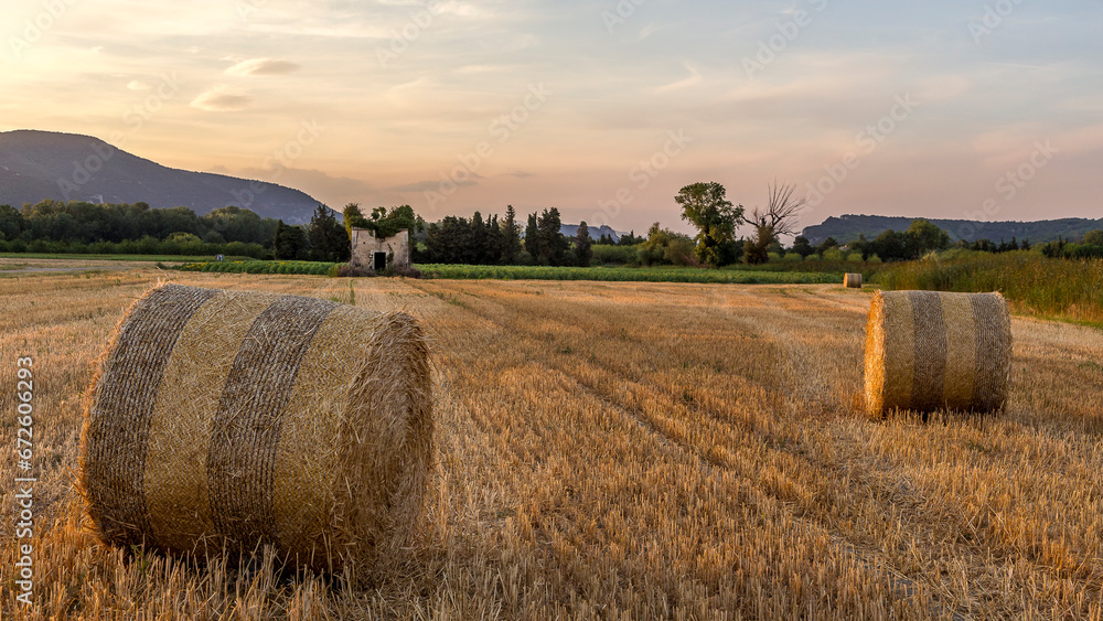 Harvest time in Provence, sunset over a wheat field