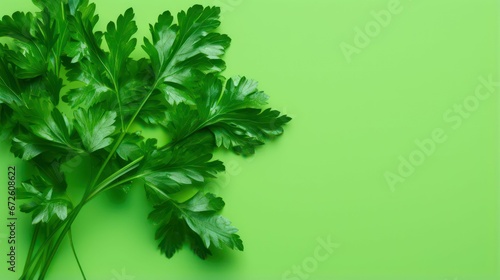 AI generated illustration of a sprig of fresh parsley on a bright green background