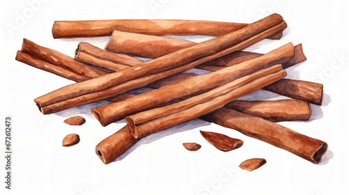 Watercolor dried cinnamon sticks photo