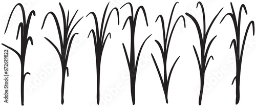 Fototapeta Naklejka Na Ścianę i Meble -  Illustration of a silhouette of a grass isolated silhouettes set collection for ornamental printing design