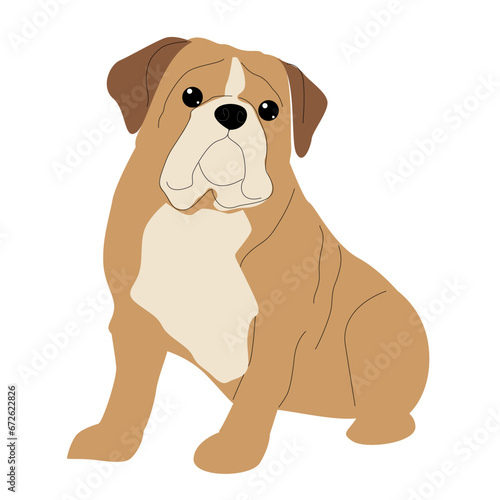 Vector English bulldog isolated on white background. Hand drawn dog. Dog breed.