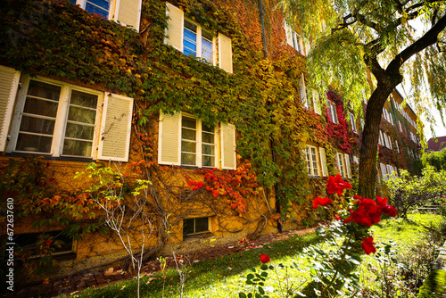 The Borstei is a listed residential area in the Moosach district of Munich, which was built between 1924 and 1