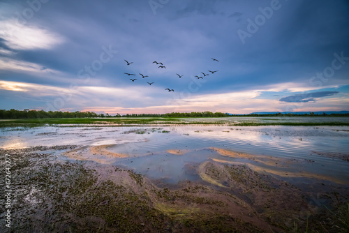 Beautiful landscape with flying birds before sunset. © chirawan_nt