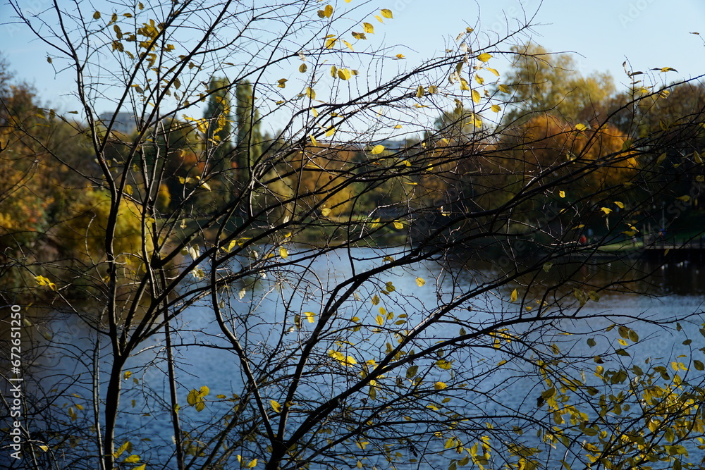 Lake in park in fall, tree branch on first plan