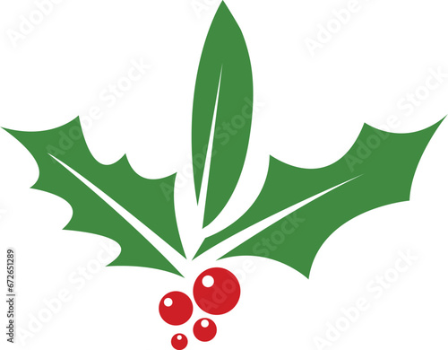 Holly berries with leaves. Christmas holly berry leaves