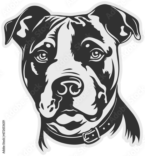 Photos black and white silhouette of a dog, no background