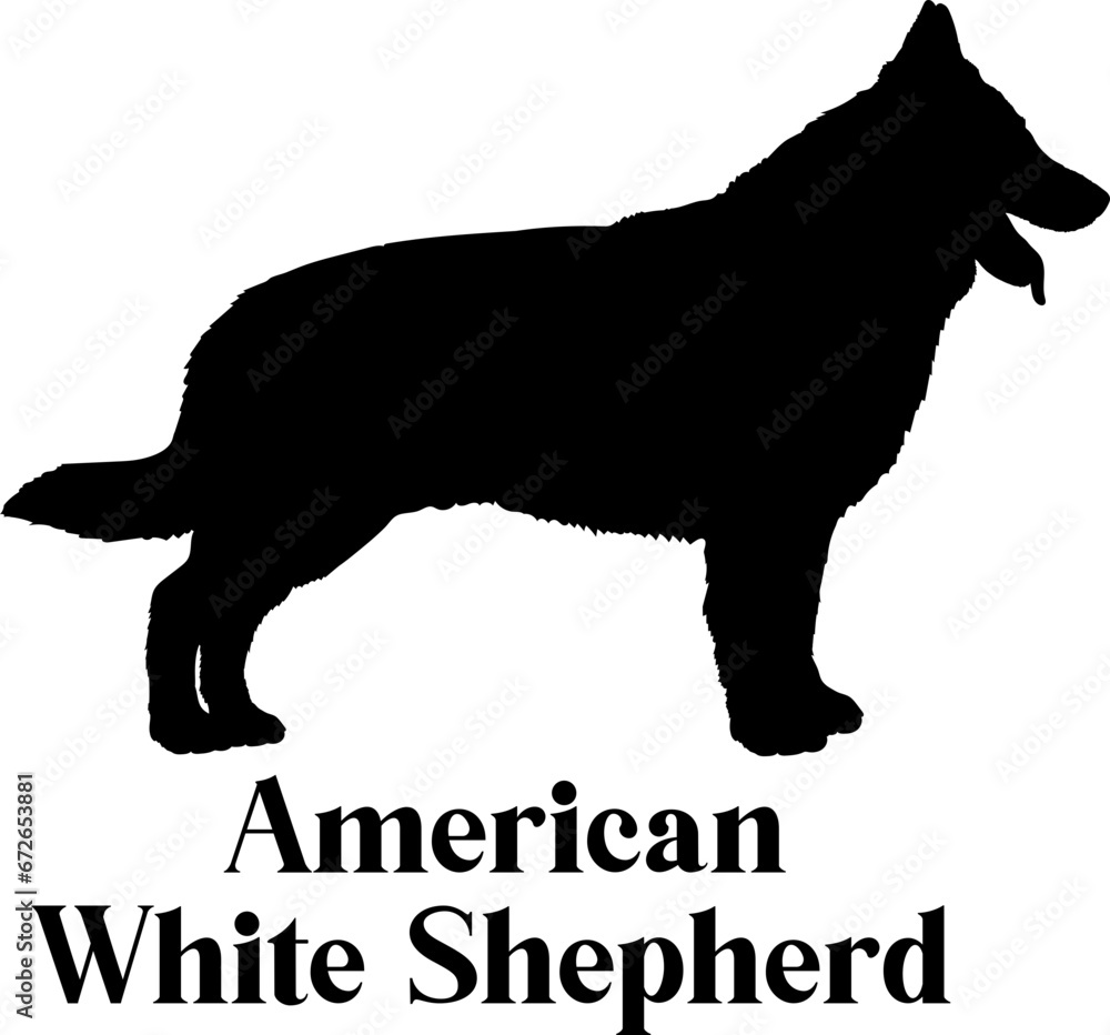  American White Shepherd Dog silhouette breeds dog breeds dog monogram logo dog face vector
SVG PNG EPS