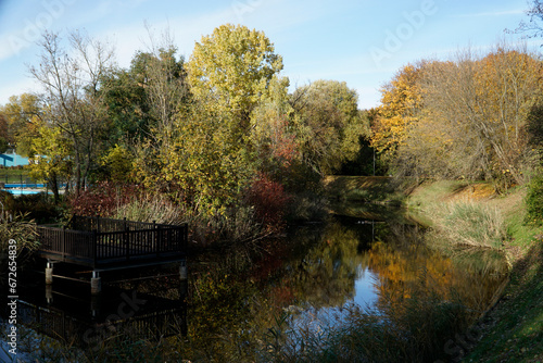 Yellow trees and pond in park - fall time
