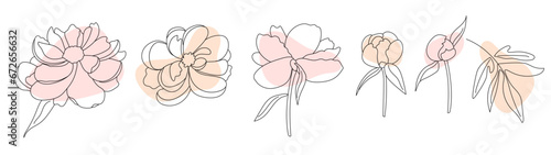 Set of coral peony flowers with leaves and buds in outline style with abstract organic shapes. Botanical vector illustration.