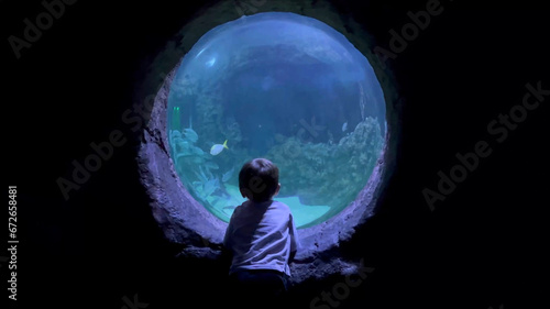 Curious child having fun watching fish swimming. Kid looking at marine life in oceanarium aquatic habitat. High quality 4k footage