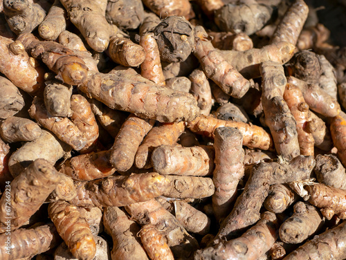 Kunyit, turmeric, Curcuma longa Linn. in traditional market in Yogyakarta, Indonesia