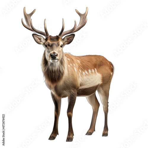 Reindeer Stylized with AR Isolated on Transparent or White Background, PNG © Custom Media