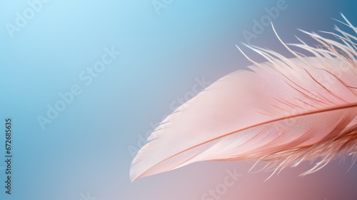 pink feather on blue background   generated by AI © sdk