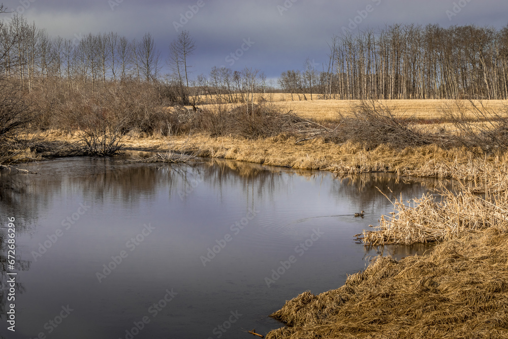 Ponds in the field Red Deer County Alberta Canada