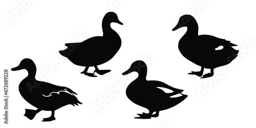 Duck silhouettes set. Vector illustration