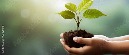 Hands Holding Young Plant on Blur Green Nature Background for Budding Hope: Hands Holding Young Plant in Lush Green Environment Concept – Ideal for Eco Earth Day and Copy Space Advertising