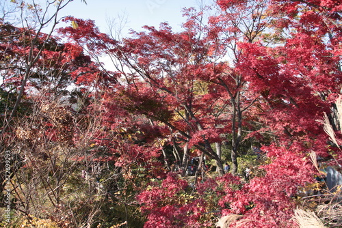 高尾山の紅葉シーズン_02 photo