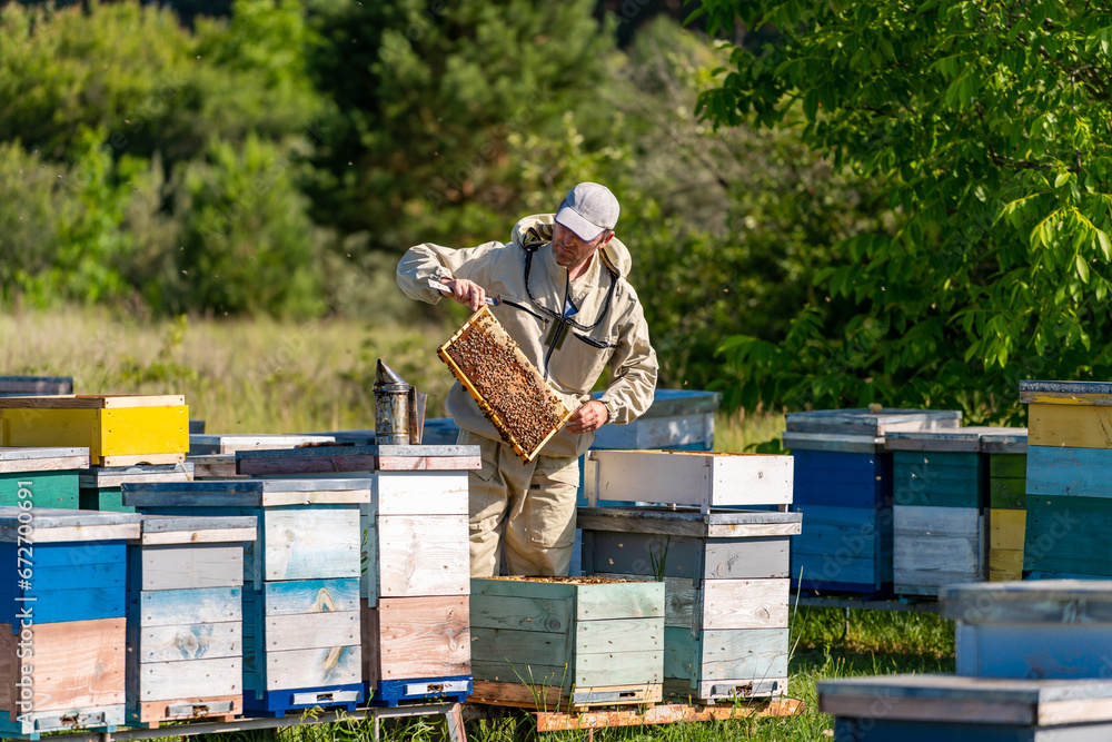 A Beekeeper Amidst a Buzzing Thrive of Hives. A man standing in front of a bunch of beehives A Beekeeper Amidst a Buzzing Thrive of Hives. A man standing in front of a bunch of beehives