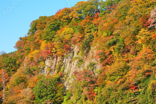 壮大な秋の紅葉が美しい九重の九酔渓