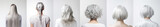 Various haircuts for woman with silver white hair - long straight, wavy, braided ponytail, small perm, bobcut and short hairs. View from behind on white background. Generative AI