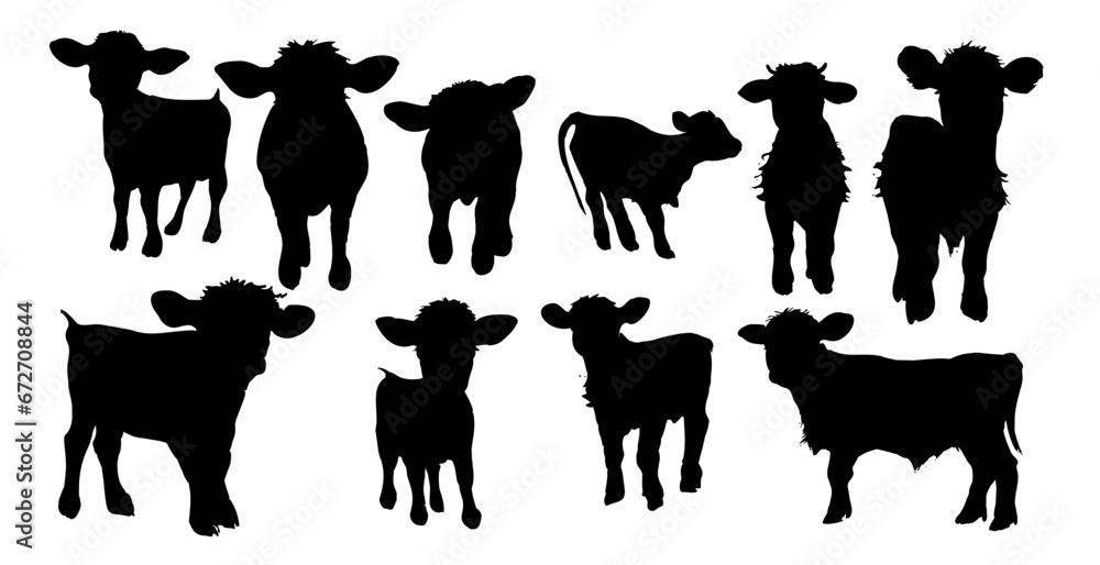 Baby cow silhouettes
