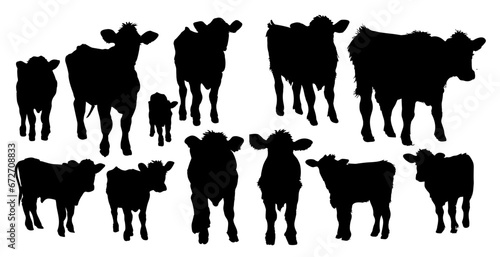 Cow silhouettes