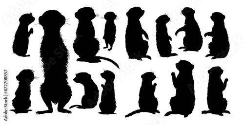 Lemuriformes  silhouettes