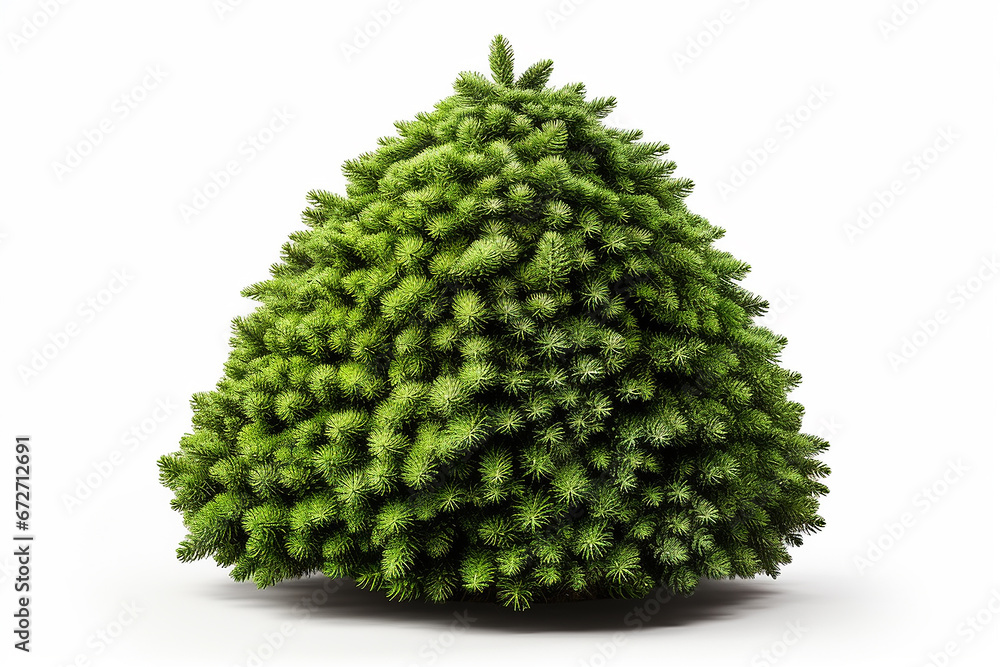 Green fluffy christmas tree on white background Green fluffy christmas tree on white background