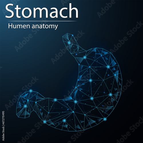 Human stomach anatomy organ translucent low poly triangle futuristic glowing. On dark blue background. Abdomen disease medical innovation concept.