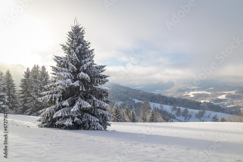 Snowy spruce in the foreground of the winter landscape. The Mala Fatra national park in northwest of Slovakia, Europe. © Viliam