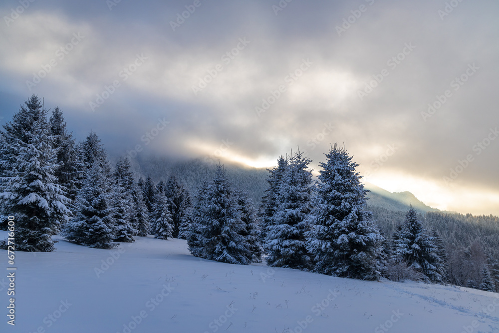 Beautiful winter landscape of snowy spruce trees. The Mala Fatra national park in northwest of Slovakia, Europe. Beautiful winter landscape of snowy spruce trees. The Mala Fatra national park in northwest of Slovakia, Europe.