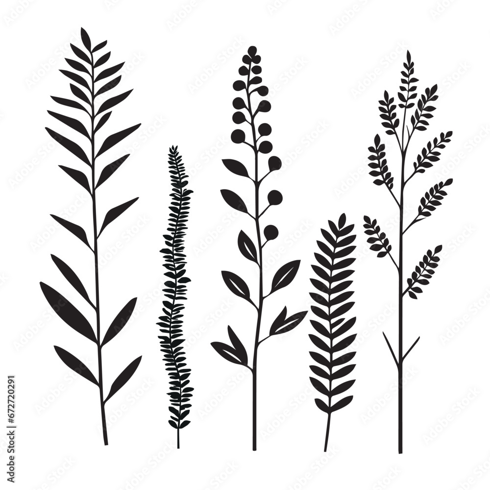 Collection of hand drawn black silhouette herbs and plants.Minimal botanical floral branch in silhouette style. Botanical rustic vector illustration. Collection of hand drawn black silhouette herbs and plants.Minimal botanical floral branch in silhouette style. Botanical rustic vector illustration.