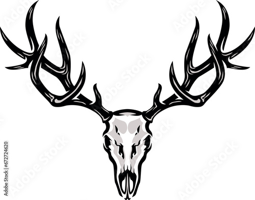 Aggressive Skull of Elk with big Antlers